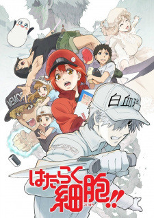 อ่านมังงะAnime Hataraku Saibou (SS1-2)