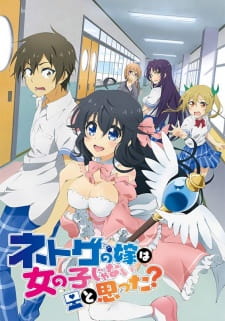 อ่านมังงะAnime Netoge no Yome wa Onnanoko ja Nai to Omotta
