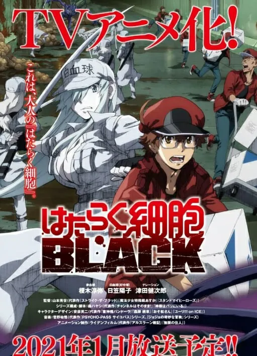 อ่านมังงะAnime Hataraku Saibou Black